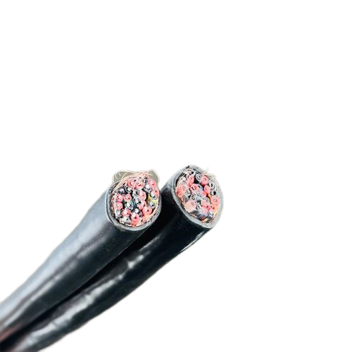 尊龙人生就是博·Z6「中国区」首页官网