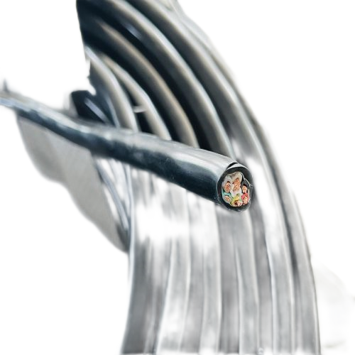 尊龙人生就是博·Z6「中国区」首页官网