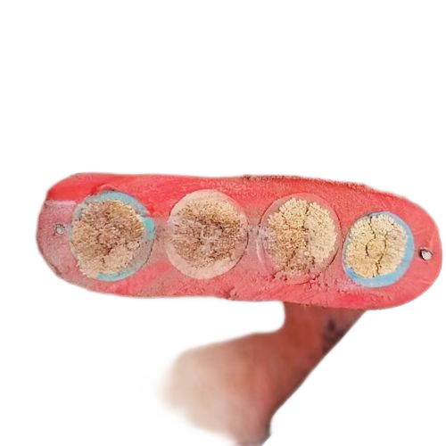 尊龙人生就是博·Z6「中国区」首页官网