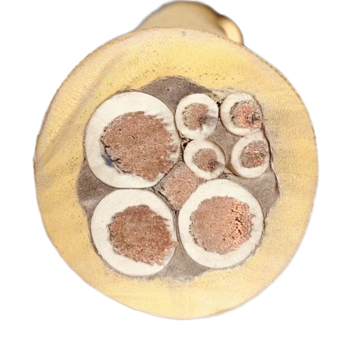 �����������ǲ���Z6���й�������ҳ����