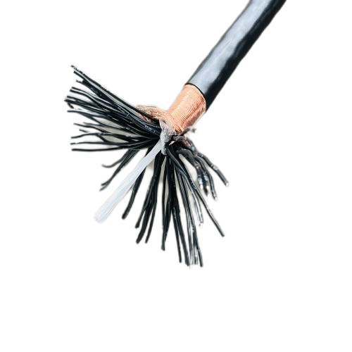 尊龙人生就是博·Z6「中国区」首页官网