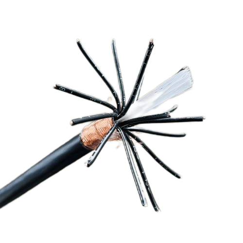 �����������ǲ���Z6���й�������ҳ����