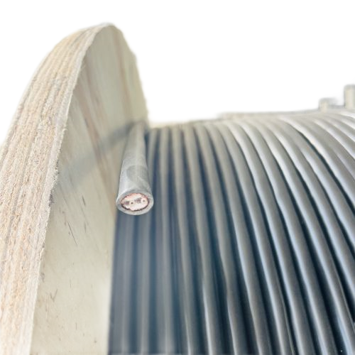 �����������ǲ���Z6���й�������ҳ����