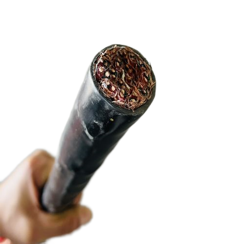 尊龙人生就是博·Z6「中国区」首页官网