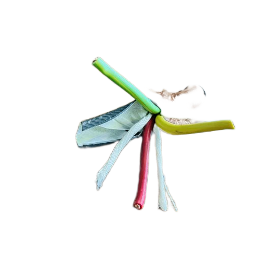 �����������ǲ���Z6���й�������ҳ����