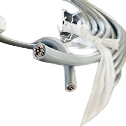 �����������ǲ���Z6���й�������ҳ����