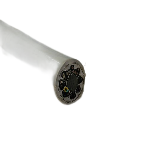 �����������ǲ���Z6���й�������ҳ����