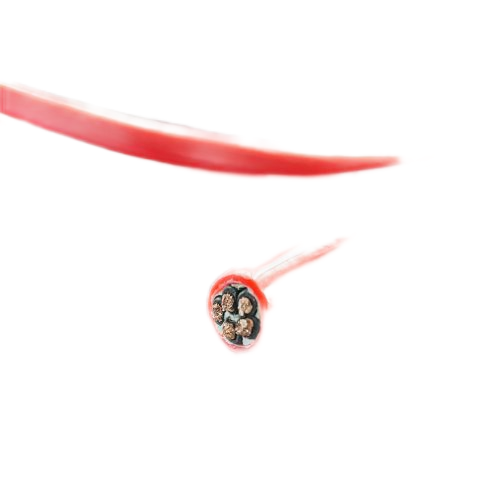 �����������ǲ���Z6���й�������ҳ����