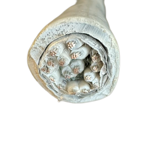 �����������ǲ���Z6���й�������ҳ����