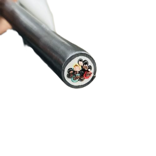 �����������ǲ���Z6���й�������ҳ����