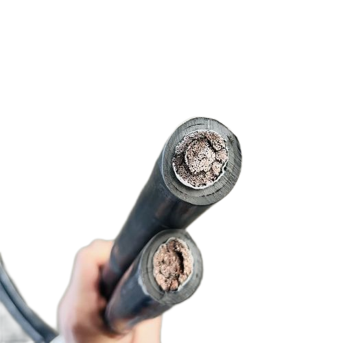 �����������ǲ���Z6���й�������ҳ����