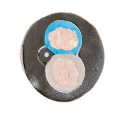 �����������ǲ���Z6���й�������ҳ����