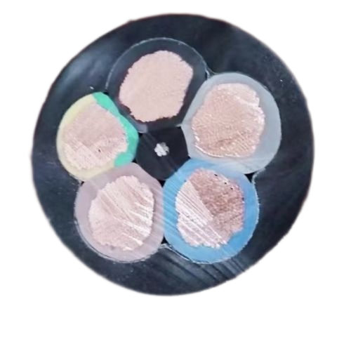 �����������ǲ���Z6���й�������ҳ����