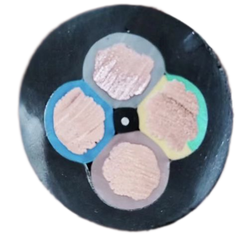 �����������ǲ���Z6���й�������ҳ����