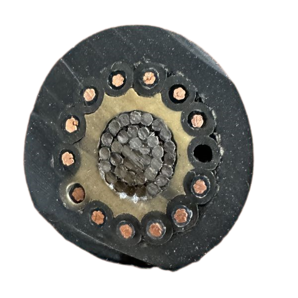 �����������ǲ���Z6���й�������ҳ����