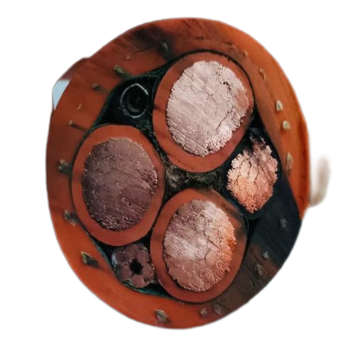 尊龙人生就是博·Z6「中国区」首页官网