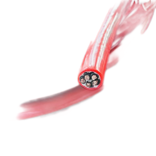 �����������ǲ���Z6���й�������ҳ����