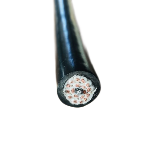 尊龙人生就是博·Z6「中国区」首页官网