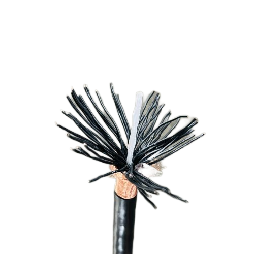 尊龙人生就是博·Z6「中国区」首页官网