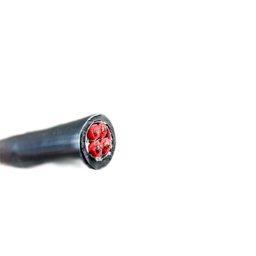 尊龙人生就是博·Z6「中国区」首页官网