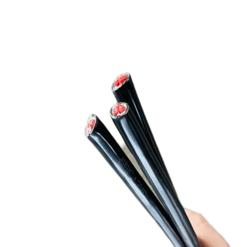 尊龙人生就是博·Z6「中国区」首页官网