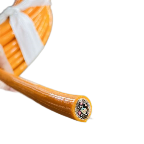 尊龙人生就是博·Z6「中国区」首页官网