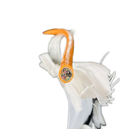 �����������ǲ���Z6���й�������ҳ����