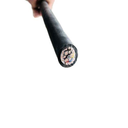 尊龙人生就是博·Z6「中国区」首页官网