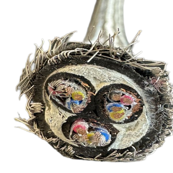 �����������ǲ���Z6���й�������ҳ����