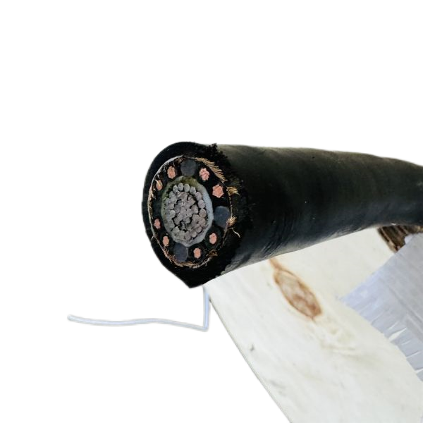 �����������ǲ���Z6���й�������ҳ����