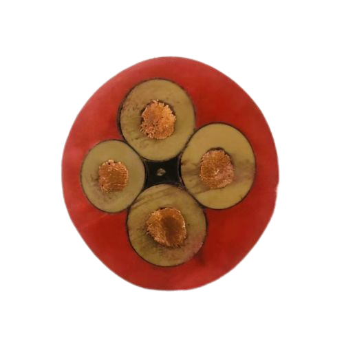 �����������ǲ���Z6���й�������ҳ����