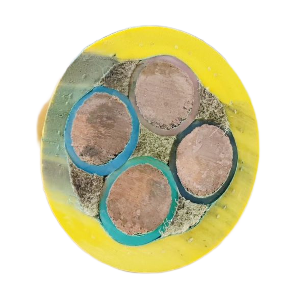 �����������ǲ���Z6���й�������ҳ����