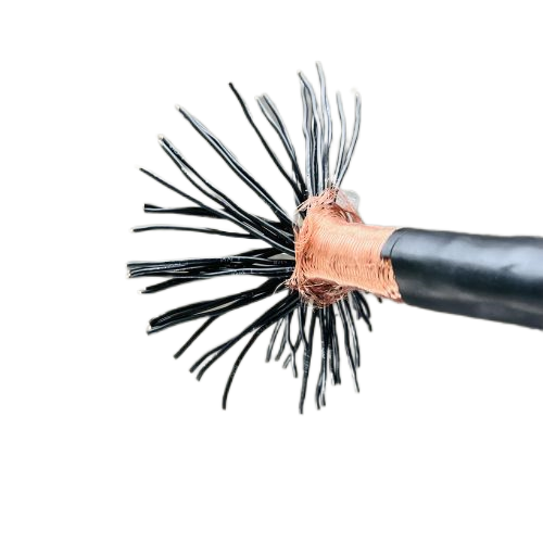 尊龙人生就是博·Z6「中国区」首页官网