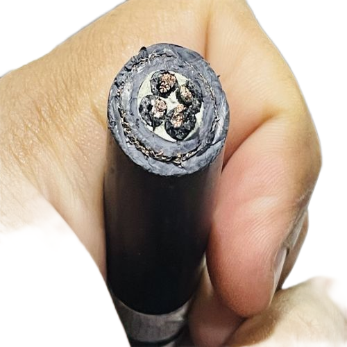 尊龙人生就是博·Z6「中国区」首页官网