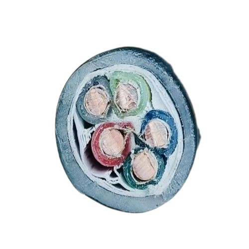 尊龙人生就是博·Z6「中国区」首页官网