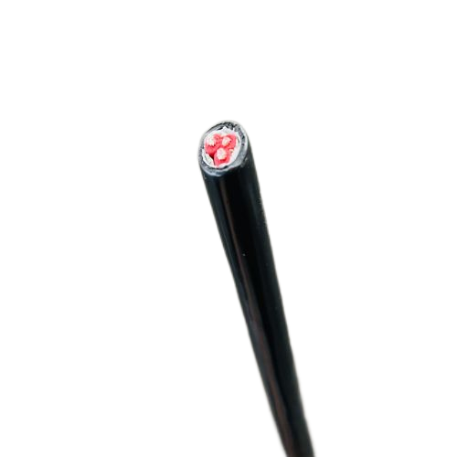 尊龙人生就是博·Z6「中国区」首页官网