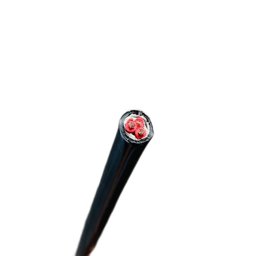 尊龙人生就是博·Z6「中国区」首页官网