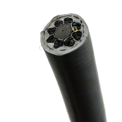 尊龙人生就是博·Z6「中国区」首页官网