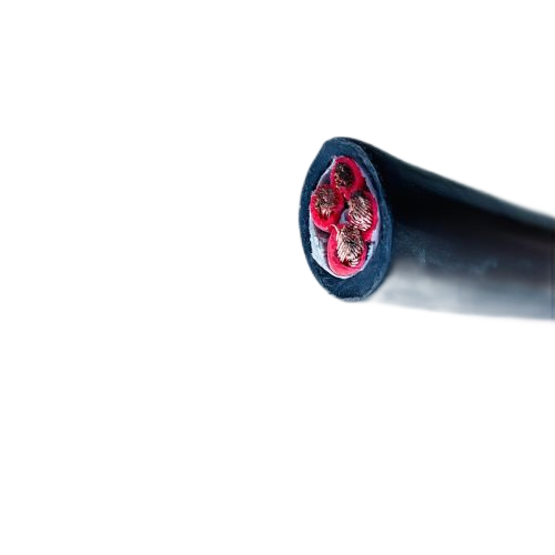 尊龙人生就是博·Z6「中国区」首页官网