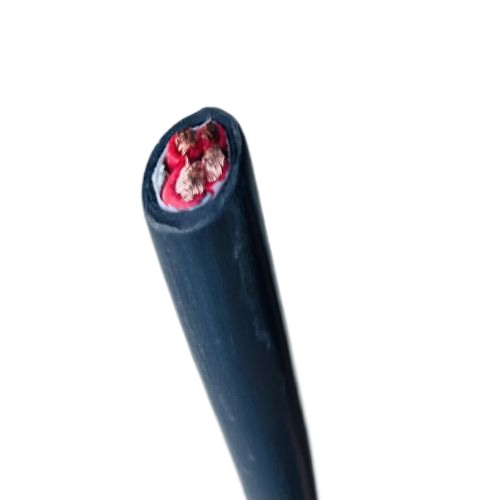 尊龙人生就是博·Z6「中国区」首页官网