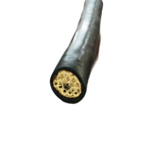 尊龙人生就是博·Z6「中国区」首页官网