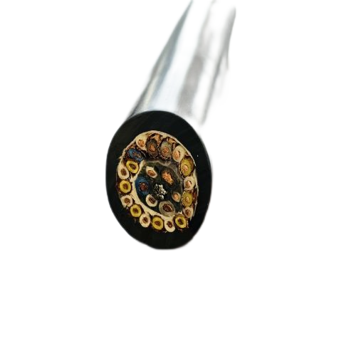 尊龙人生就是博·Z6「中国区」首页官网