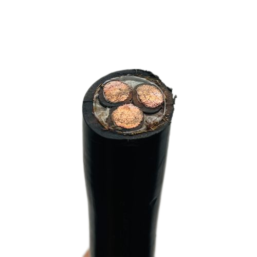 尊龙人生就是博·Z6「中国区」首页官网