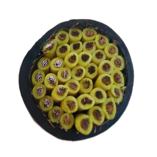 尊龙人生就是博·Z6「中国区」首页官网