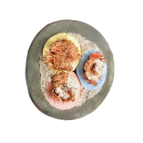 尊龙人生就是博·Z6「中国区」首页官网