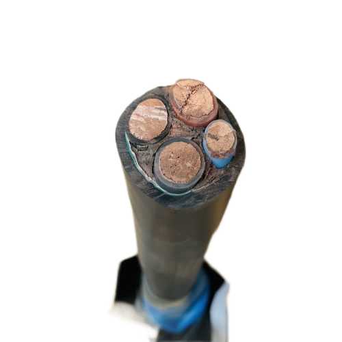 尊龙人生就是博·Z6「中国区」首页官网