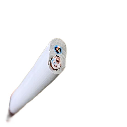 尊龙人生就是博·Z6「中国区」首页官网