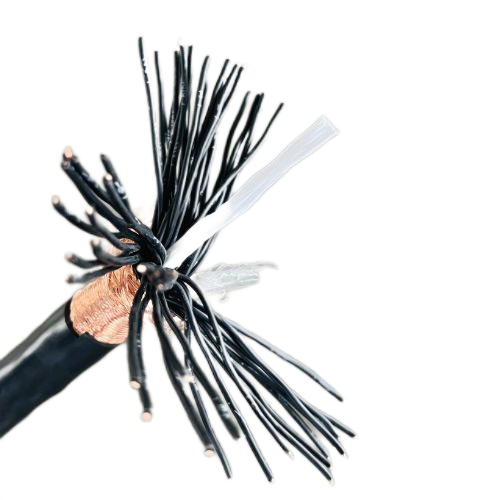 尊龙人生就是博·Z6「中国区」首页官网