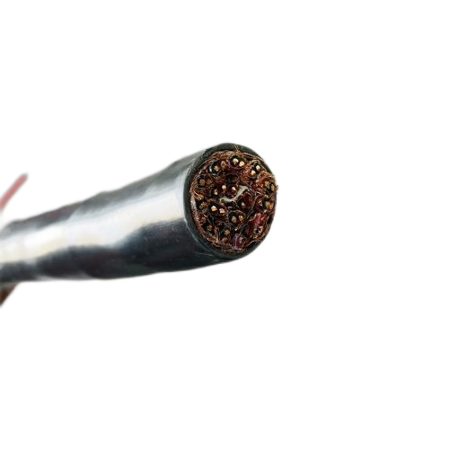 尊龙人生就是博·Z6「中国区」首页官网