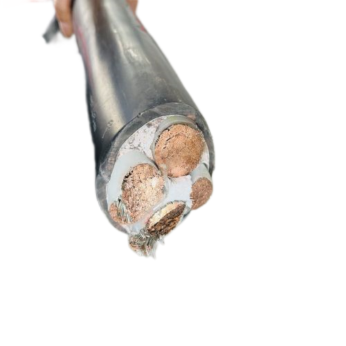 尊龙人生就是博·Z6「中国区」首页官网